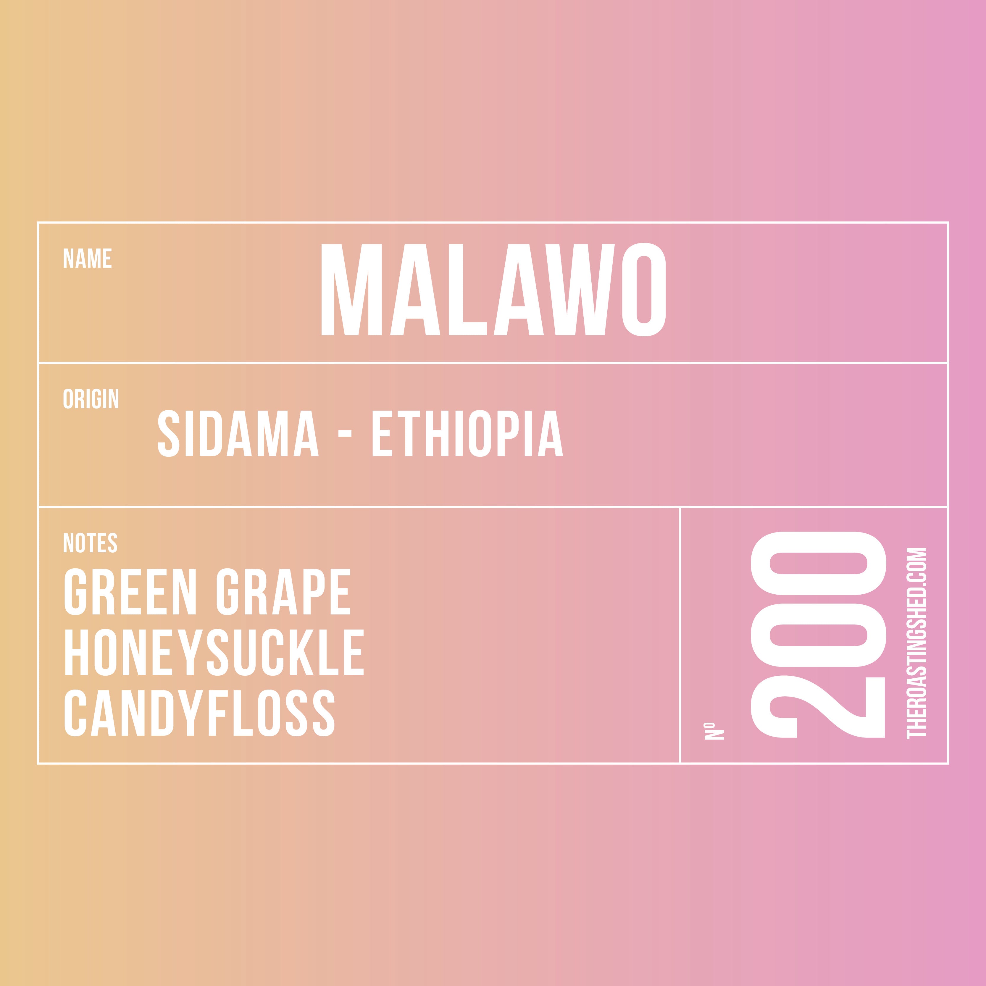 Malawo - Ethiopia