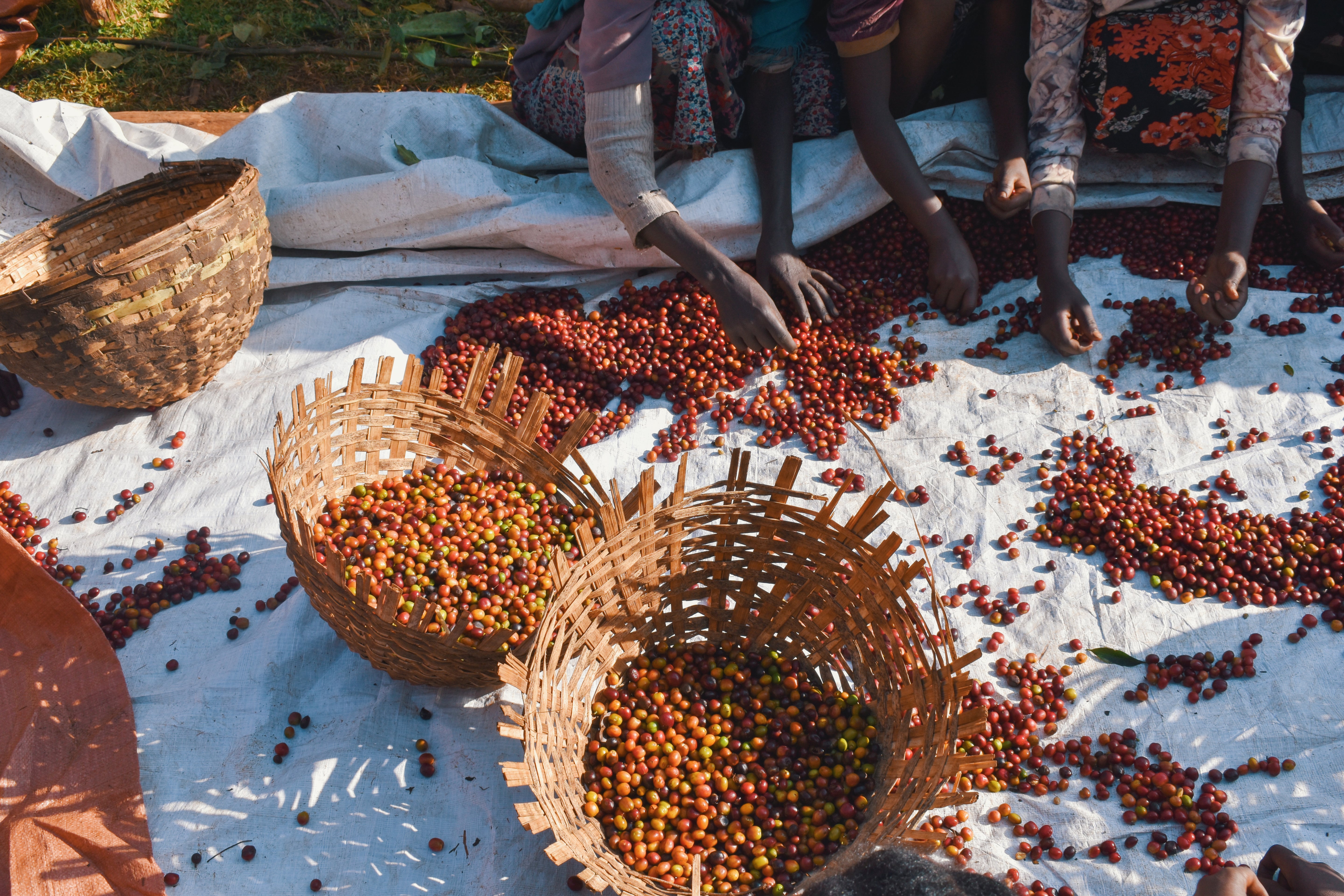 Dur Feres - Ethiopia